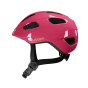 Nutz_Fuchsia.png